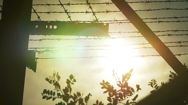 Jail fence topped with barbed wire with sky on background