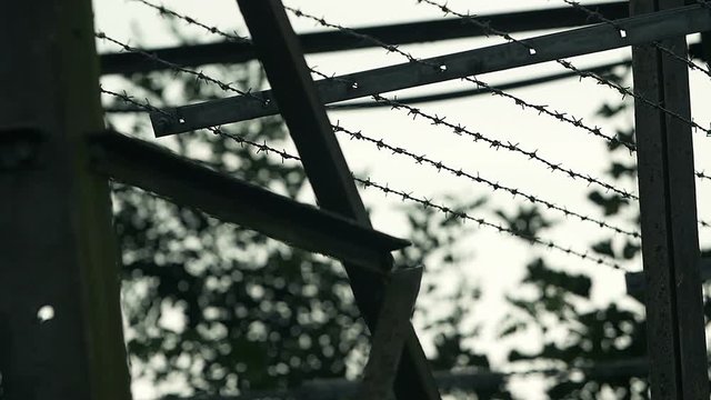 prison, barbed wire, freedom beyond