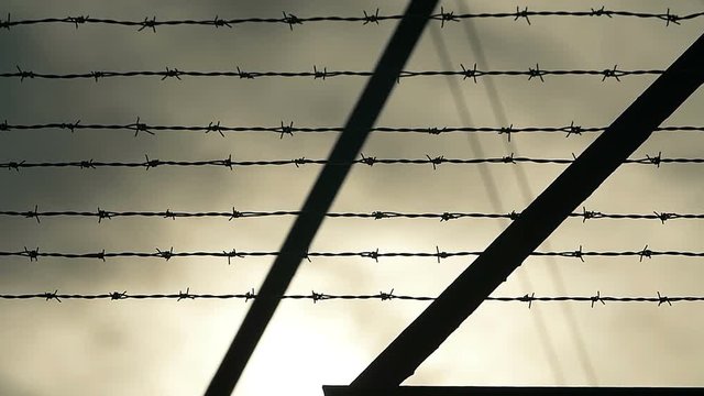 Barbed Wire Fence