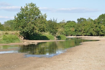 Louet river in Anjou
