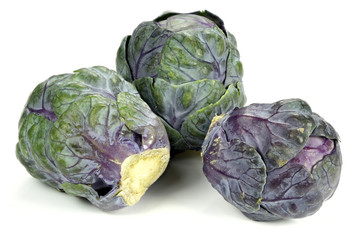 Fototapeta na wymiar purple Brussels sprout isolated on white background