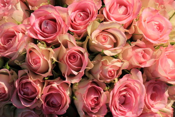 Pink roses wedding bouquet