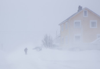 Arctic winter