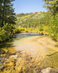Autumn Colors, Pine Creek, Collegiate Peaks Wilderness, Pike and