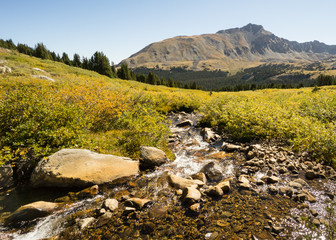 Autumn Colors, Pine Valley, Collegiate Peaks Wilderness, Pike an