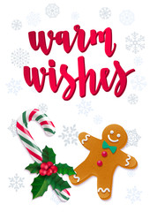 Warm Wishes. Holiday greeting card with calligraphy and decorative elements.