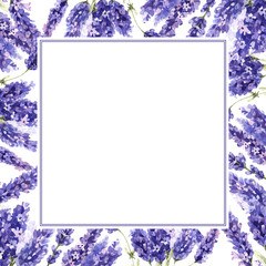 Wildflower lavender flower frame in a watercolor style isolated.