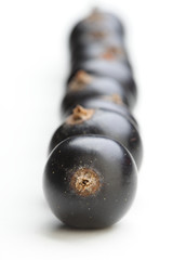 Blackcurrants on white background - studio shot