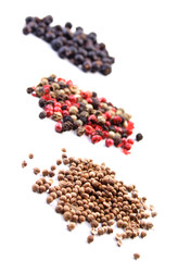 Herbs on white background  - studio shot