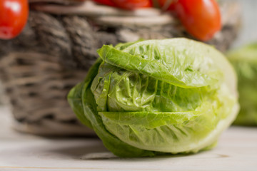 Green fresh roma lettuce salad leaves and roma mini tomatoes 