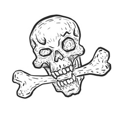This is an illustration of Skull with bone