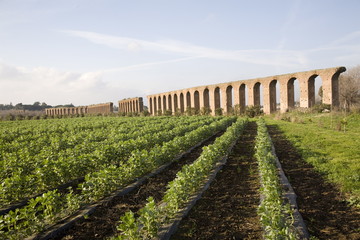 Felice Aqueduct, along the Via Appia (Appia road), Rome, Lazio