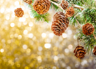 Christmas background with fir branches,pinecones and berries on
