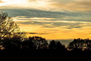 Fototapeta na wymiar Sonnenaufgang mit Bäumen in Vorder- und Hintergrund