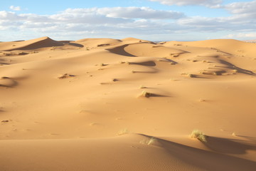 Dune Landscape of Sahara Desert near Merzouga in Morocco