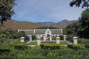 Fototapeta na wymiar Weingut in der Nähe von Stellenbosch, Südafrika