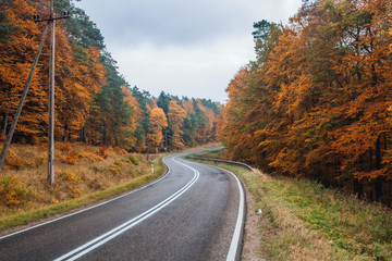 Naklejka premium Poland. Autumn