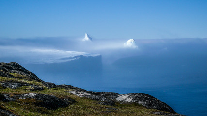 Arctic Fog