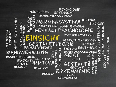 Einsicht
