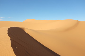 Fototapeta na wymiar Dune Landscape of Sahara Desert