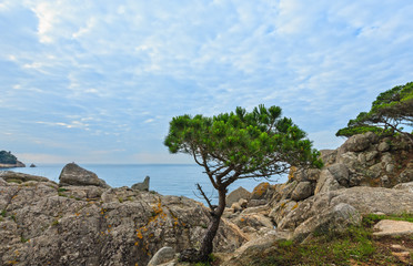 Summer sea coastline, Costa Brava, Spain.