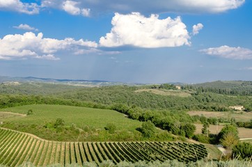 Fototapeta na wymiar Brightful countryside view in a sunny day in Monteriggioni