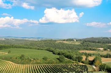 Fototapeta na wymiar Tuscan countryside in a sunny day, Monteriggioni, Siena
