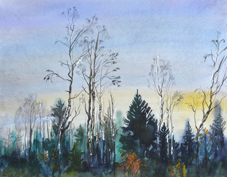 Landscape with forest.Postcard with trees and evening sky.Watercolor hand drawn illustration.