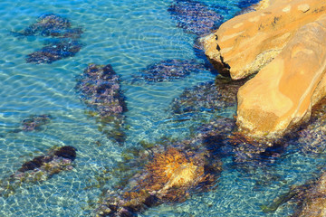 Stones in clear sea water.