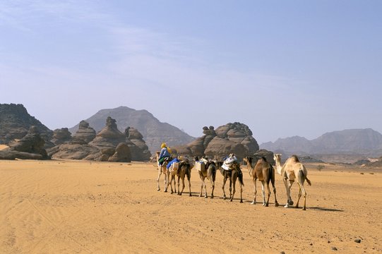 Camel caravan, Akakus, Sahara desert, Fezzan, Libya