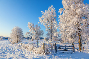 Gate in a winter landscape