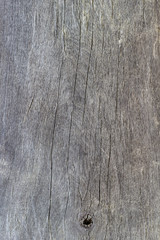 Naklejka premium wood texture grey