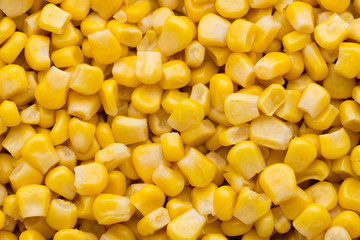 Bulk of yellow corn grains texture.