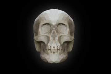 Low poly skull Geometric Illustration on Black Background