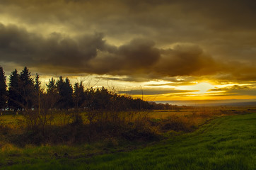 Naklejka na ściany i meble sunset in green field, spring landscape, bright colorful sky and clouds as background