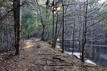 Trail through Destruction Brook Woods