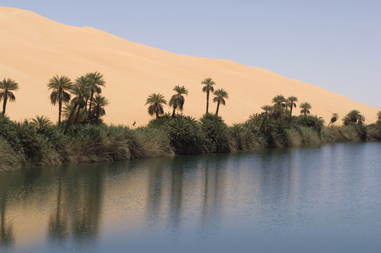 Umm El Ma lake, Erg Awbari, Sahara desert, Fezzan, Libya