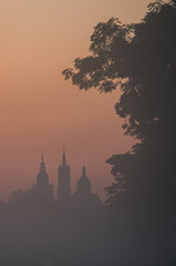 Fototapeta premium Misty Blonia meadow in Krakow, Poland, with St Mary's church and Town Hall towers in the background.