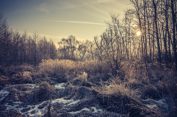 Frozen meadow in cold autumn morning