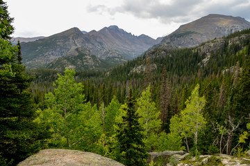 aspen, pine and spruce trees on the wooded mountain slopes of Tyndall Gorge
Rocky Mountain National Park, Estes Park, Colorado, United States