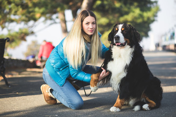 Beautiful blond young woman enjoying with her adorable Bernese Mountain dog.