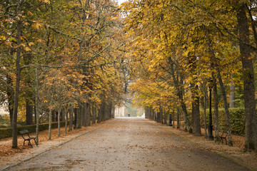 Man walking in the rain in the park one autumn day