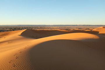 Plakat Dune Landscape with Footsteps in the Evening