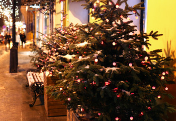 Christmas decorations