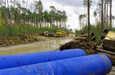 Fototapety na wymiar - Fototapeta24.pl