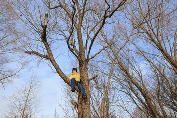 boy in yellow jacket plays outdoors in late autumn