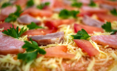 pepperoni  pizza with  salami, parmesan cheese