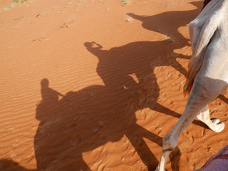 Traveler and camel shadow on orange wahiba sand desert, Oman