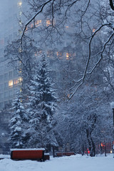 Kiev winter, Mariinsky park
