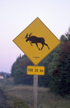 Sign, Moose crossing the road, Algonquin Provincial Park, Ontario, Canada